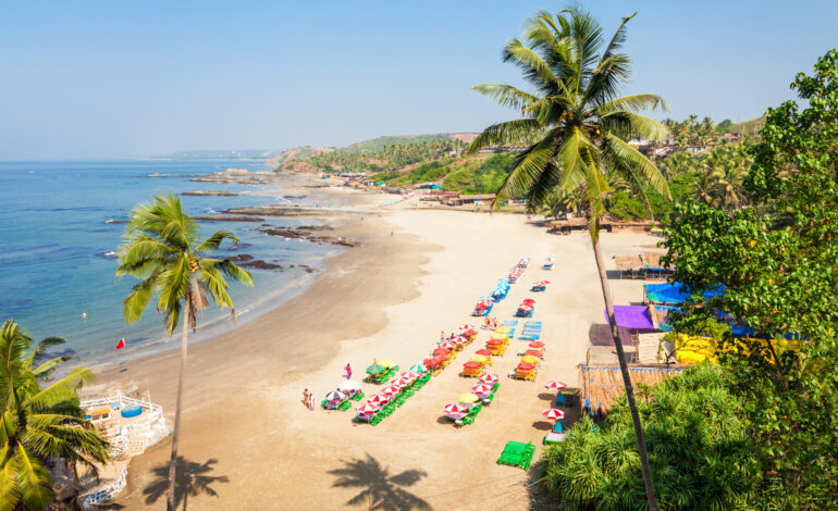 Best Cultural and Attraction Places to Visit Near Dapoli